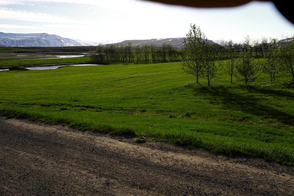 Artun Guesthouse Oda fotoğraf