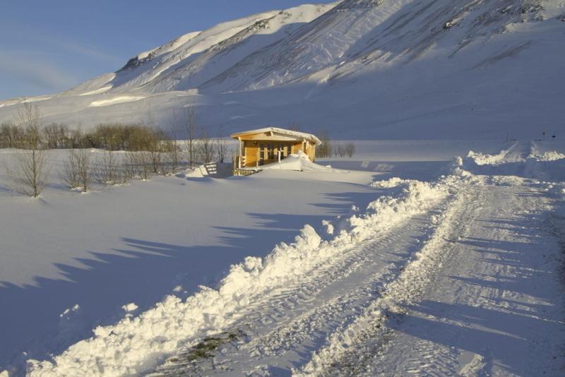 Artun Guesthouse Oda fotoğraf